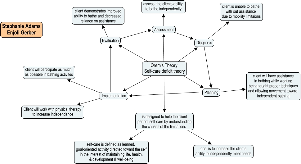 Nursing Theory Adam & Gerber