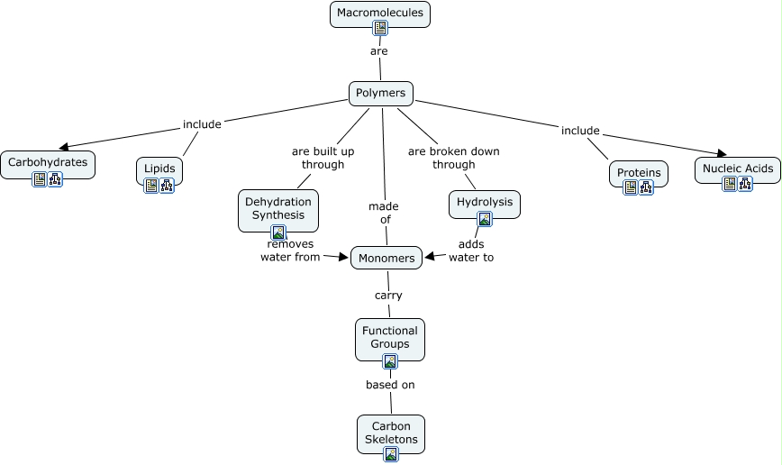 Macromolecules - What chemicals are important to life and what are