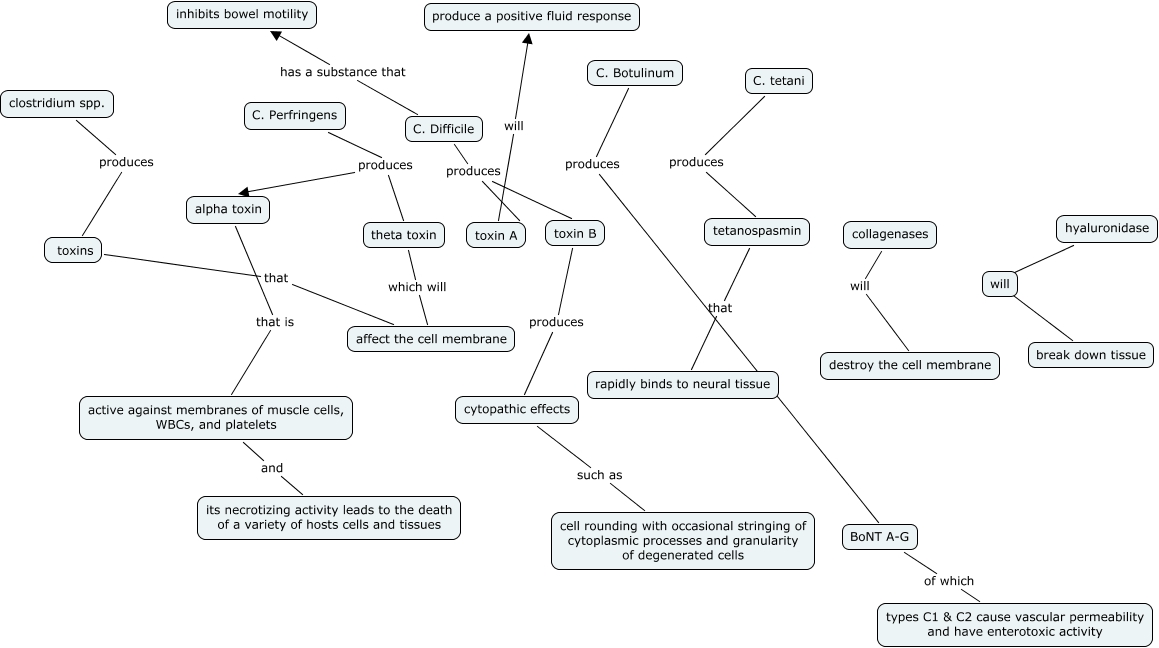 Clostridium Concept Map - Virulence Factors Of Clostridium Spp.