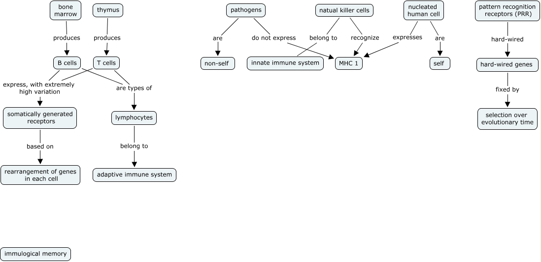 Immunology What are the basic concepts and mechanisms of the human