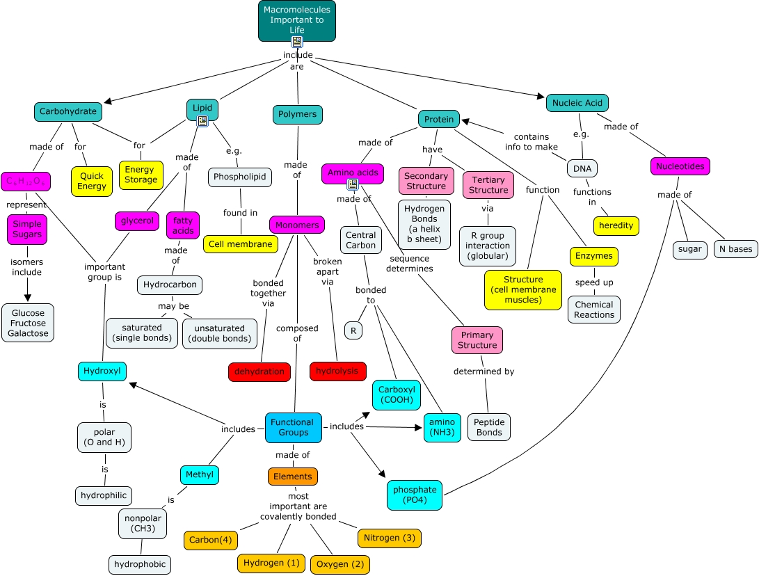 macromolecule_overview types of macromolecules