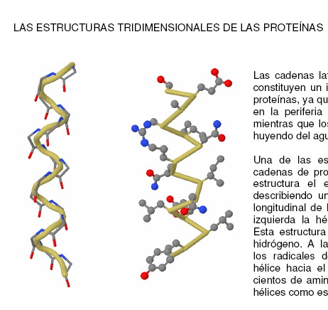 Ejemplos De Proteinas Primarias Pdf