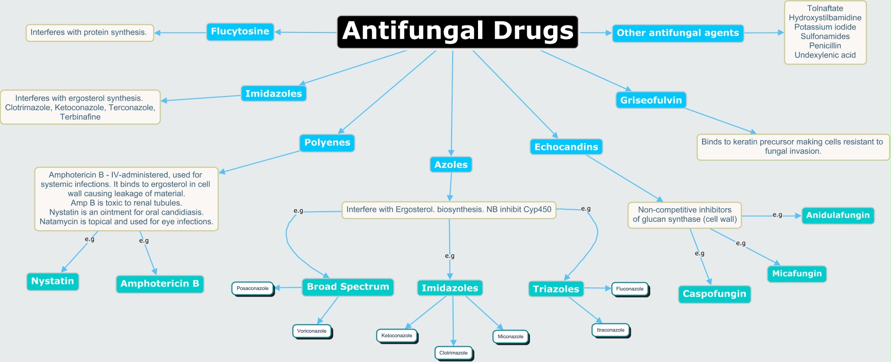 topical antifungal medications