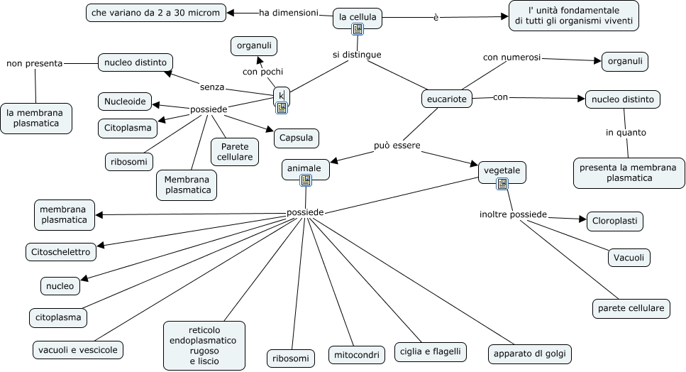 Mappe Scienze Cellula Schemi Riassuntivi Dislessia Discalculia Disturbi Specifici Apprendimento Leggimi Al Contrario Asd