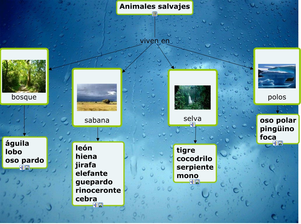 Mapa Conceptual De Animales Salvajes