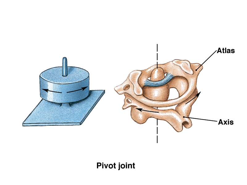 pivot-joint-driverlayer-search-engine