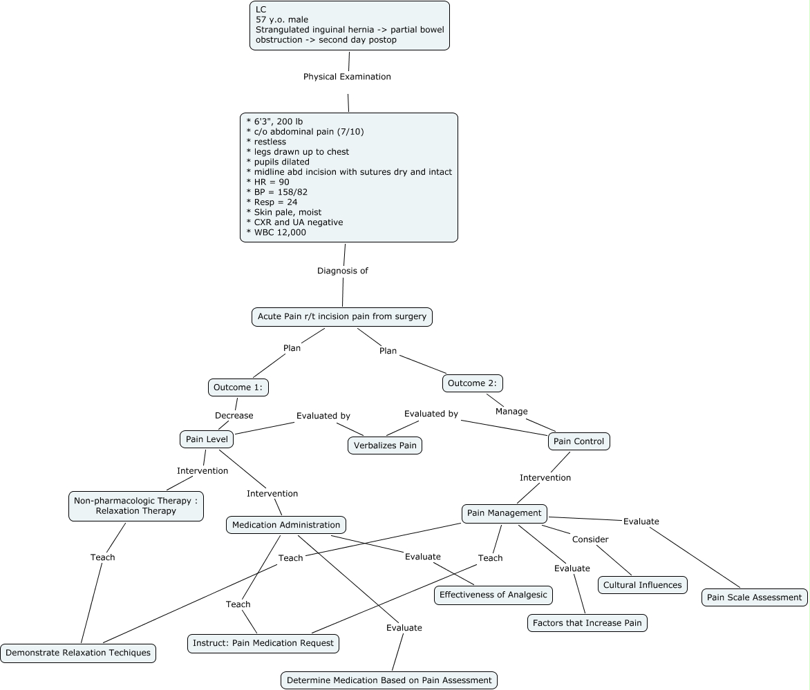 Acute Pain Concept Map Nguyen, S.cmap