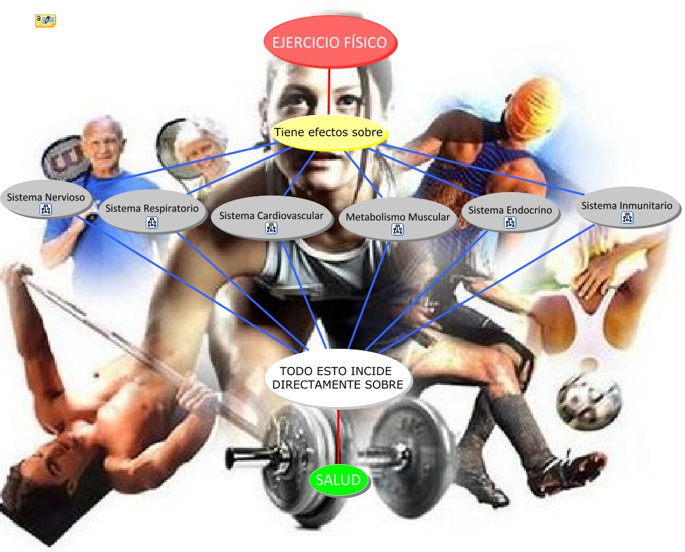 _EL EJERCICIO FÍSICO