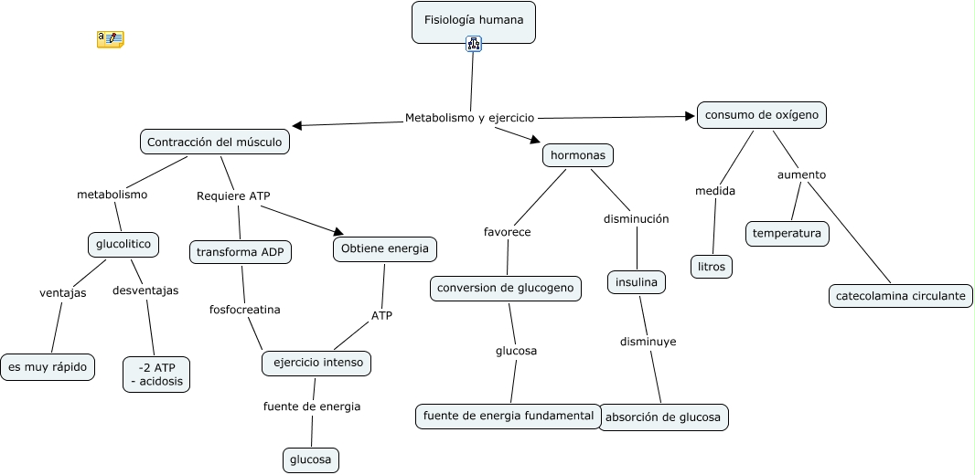Oxidación metabolismo