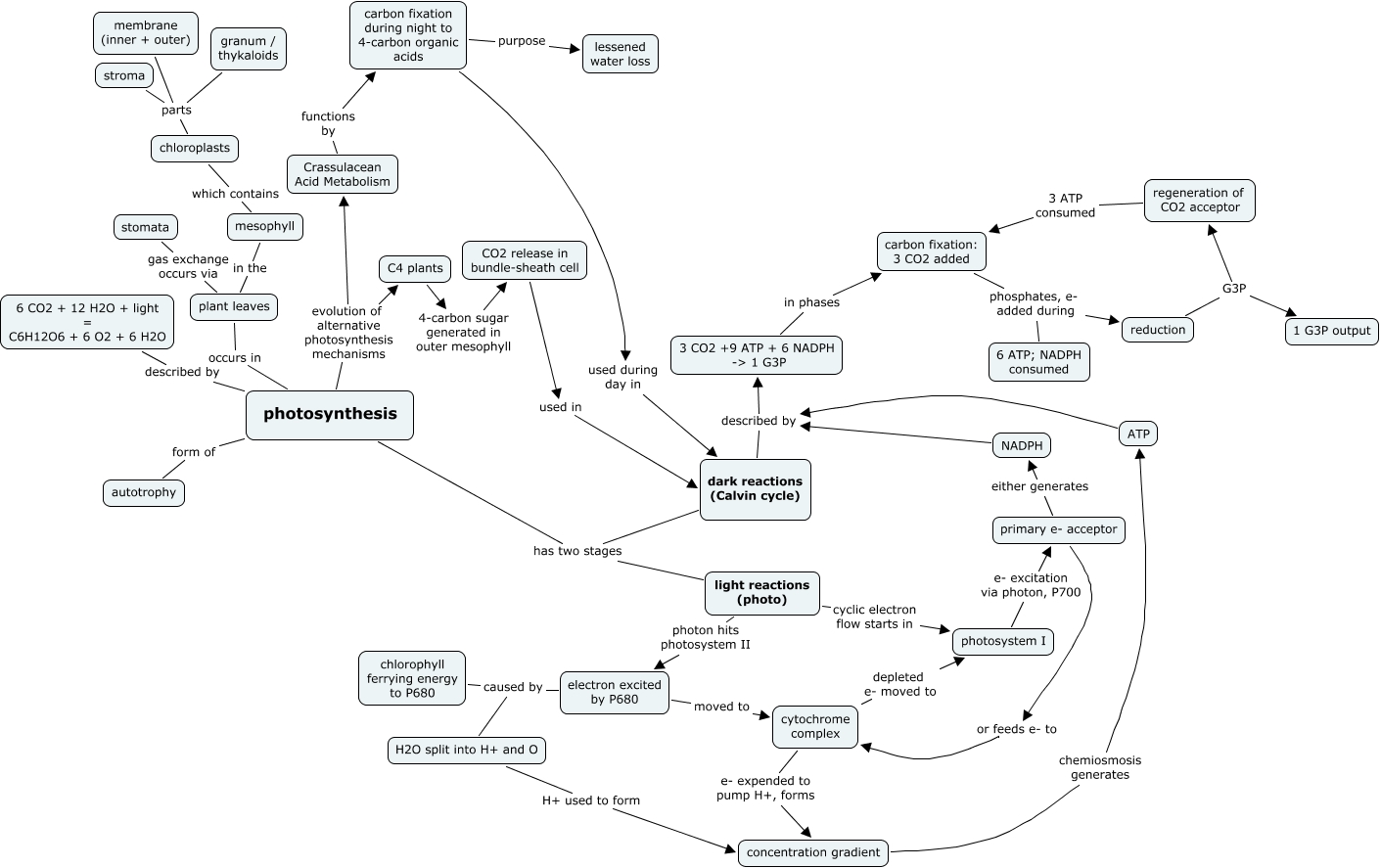 Photosynthesis concept map answer key grade 9 picture