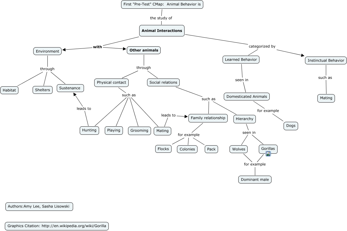 lee-lisoski-what-is-animal-behavior-first-what-is-animal-behavior