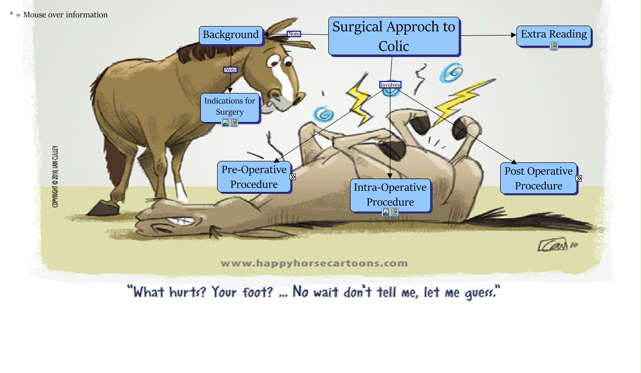 Surgical Approach to Colic