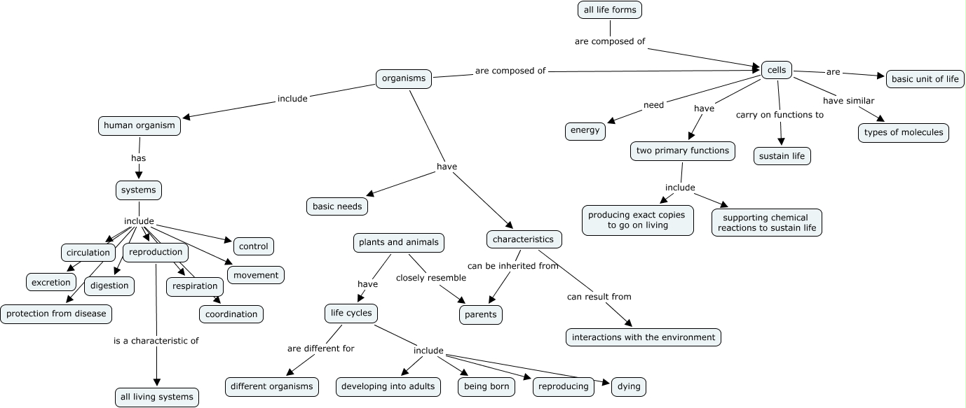 Kristi S Characteristics Of Living Things