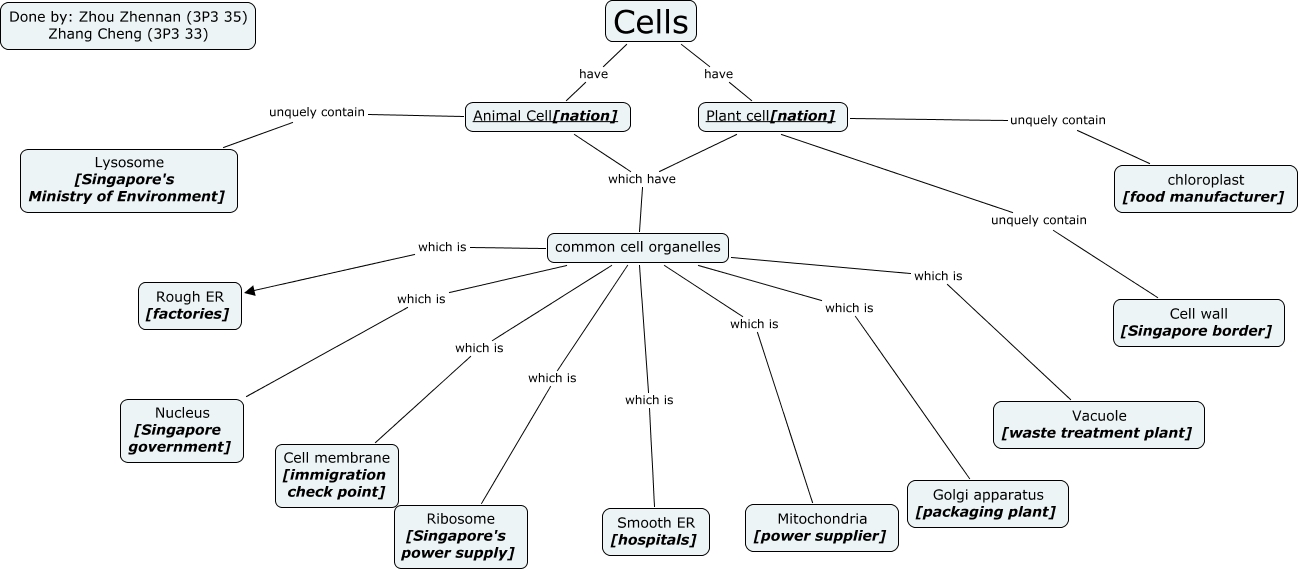 Cell Organelles Concept Map