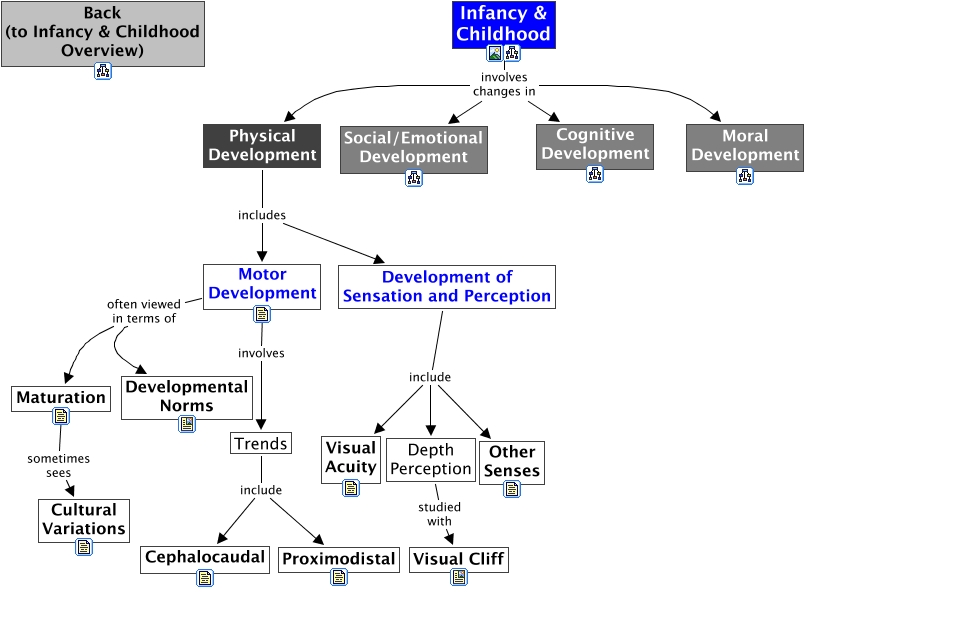 Physical Development - within Childhood Development