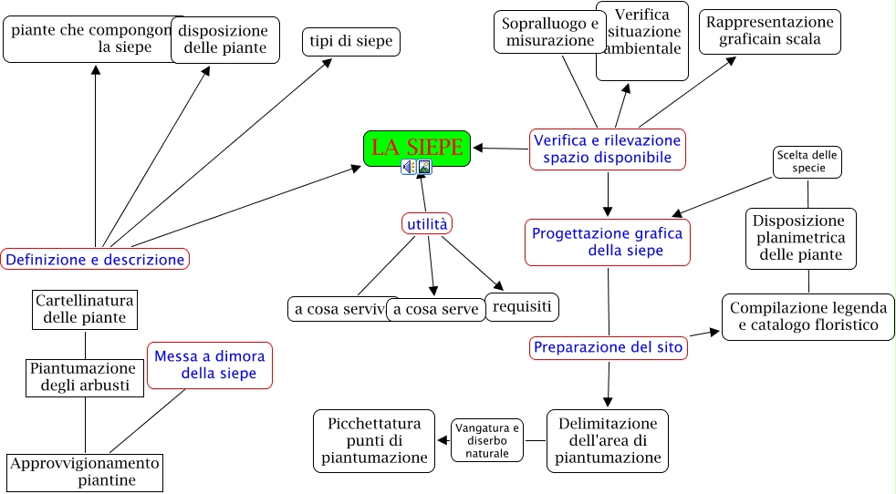 La_siepe come_si_impianta_una_siepe