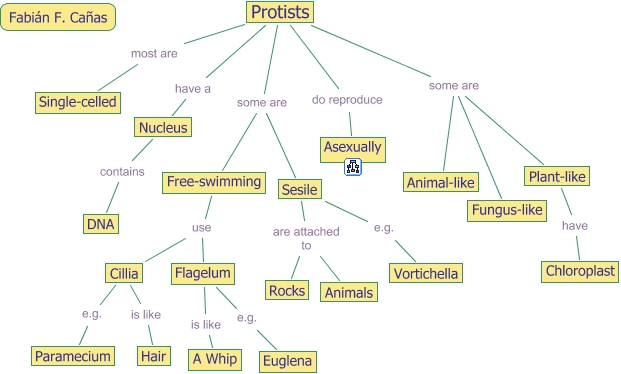 Protists