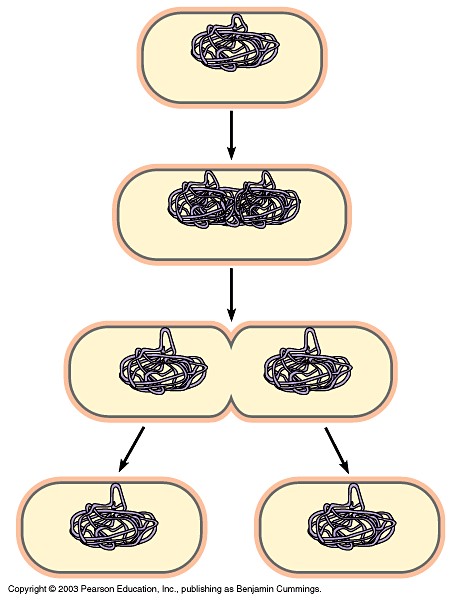 IHMC Public Cmaps (3)