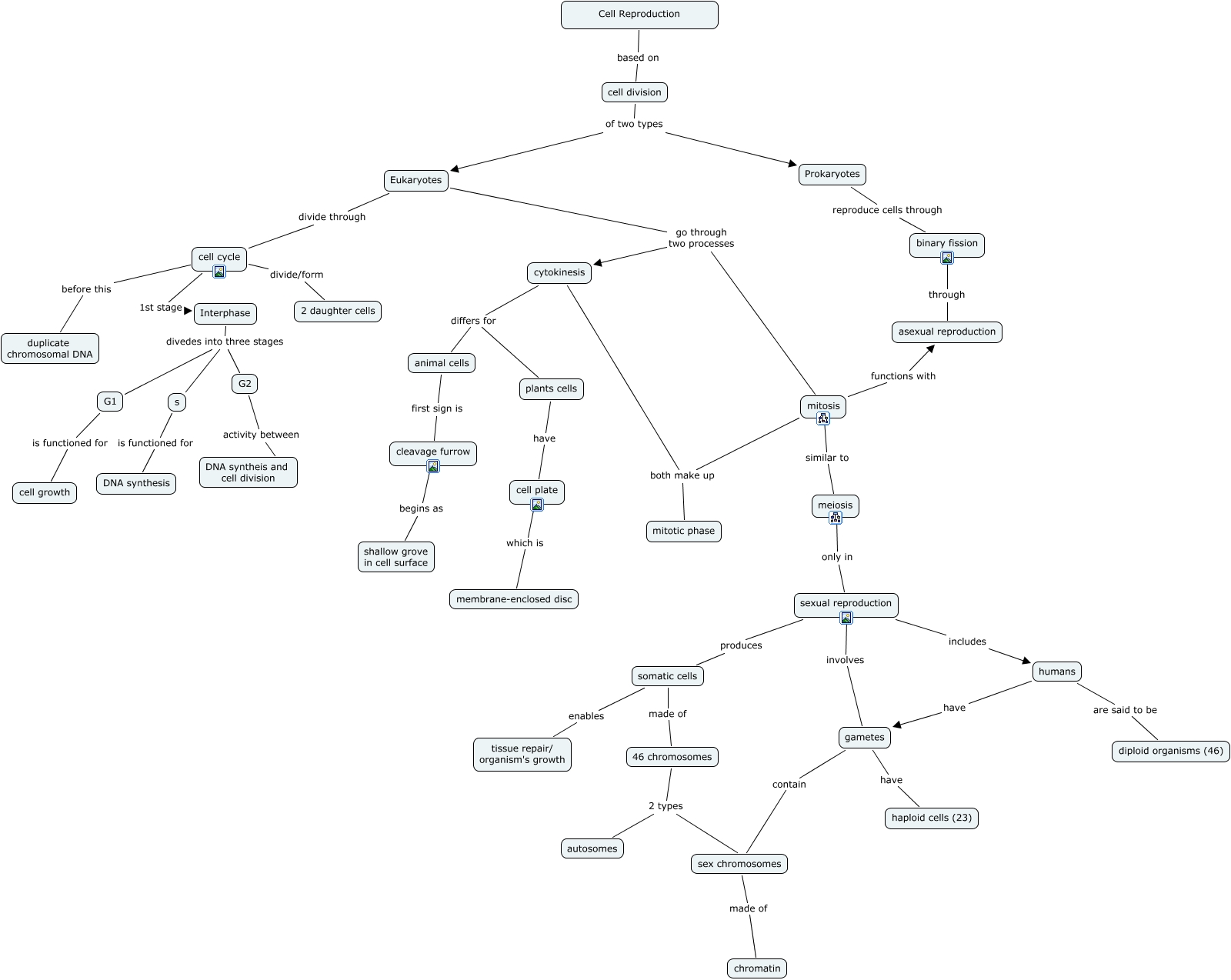 Cell Reproduction Concept Map Cell Reproduction