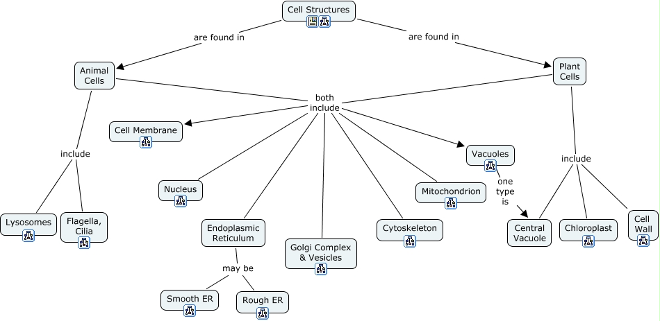 Animal Cell Concept Map Cell Structure Blue