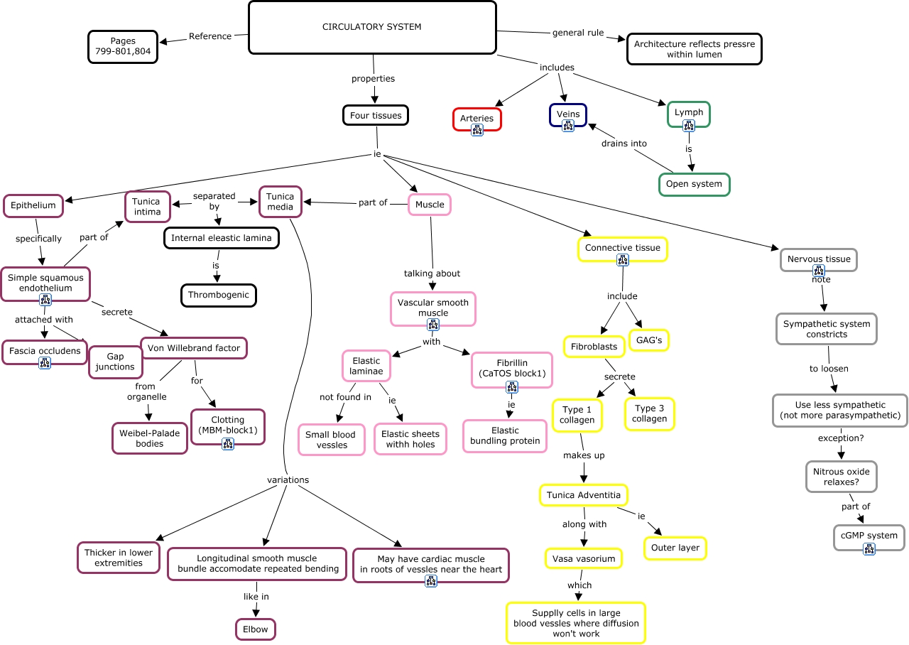 31. Circulatory System - CaTOS-Block2