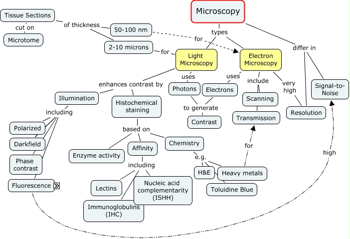 Microscopy1 - What are the various types of microscopy?