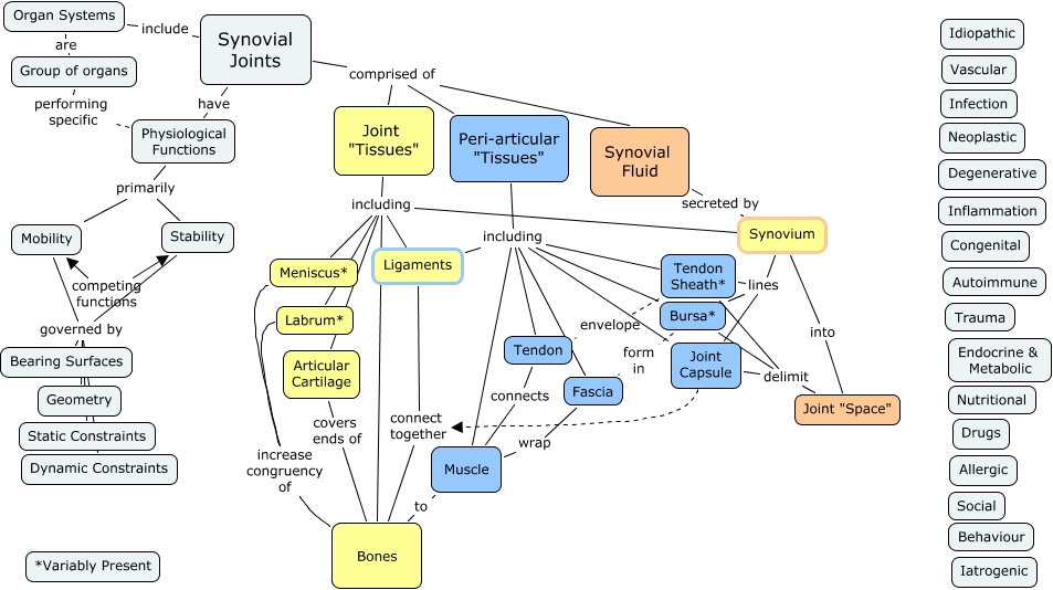 Common Pathologies1 - What are the common joint pathologies?