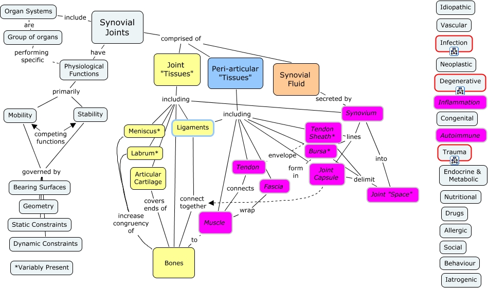Common Pathologies5 - What are the common joint pathologies?