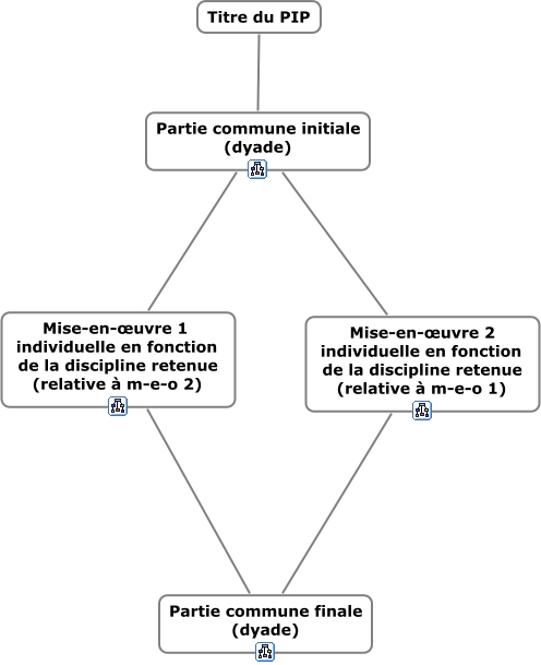 PIP_structure