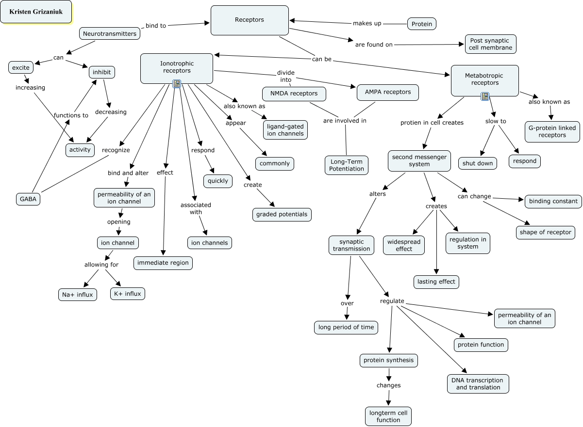 Synapse-Receptors-Kristen