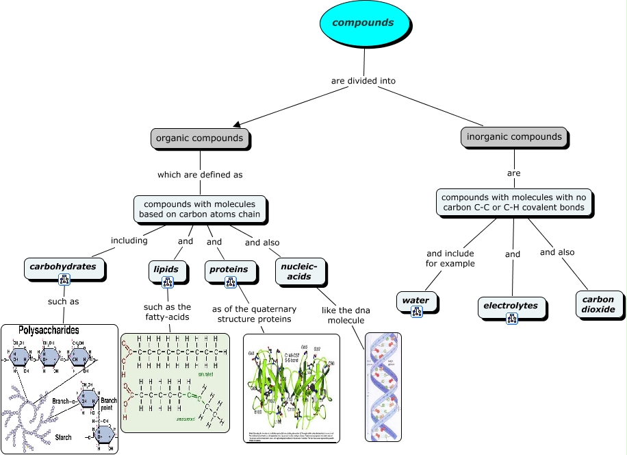Concept Map Organic Compounds Organic Compounds