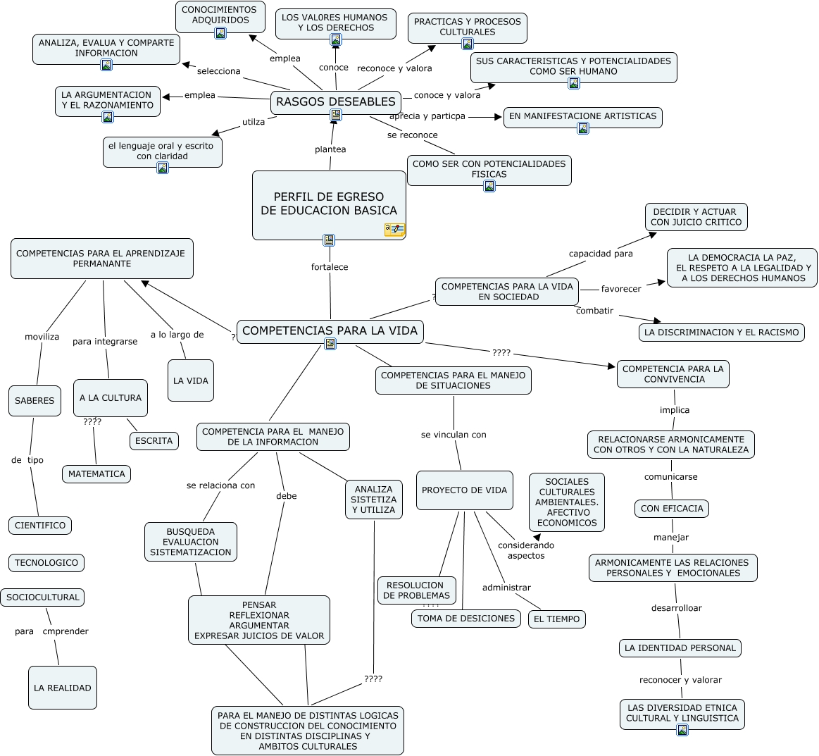 mapa conceptual perfil de egreso ¿cuales son las