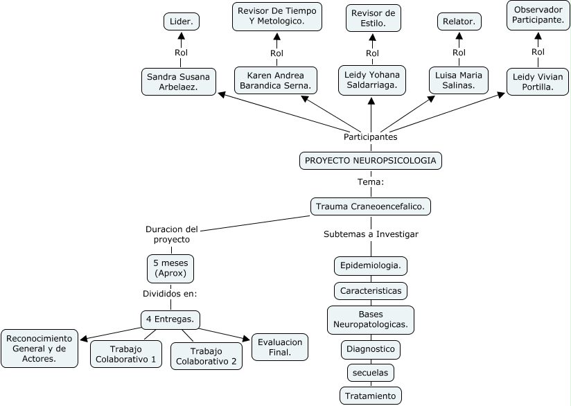 Diagrama de Flujo Neuropsicologia