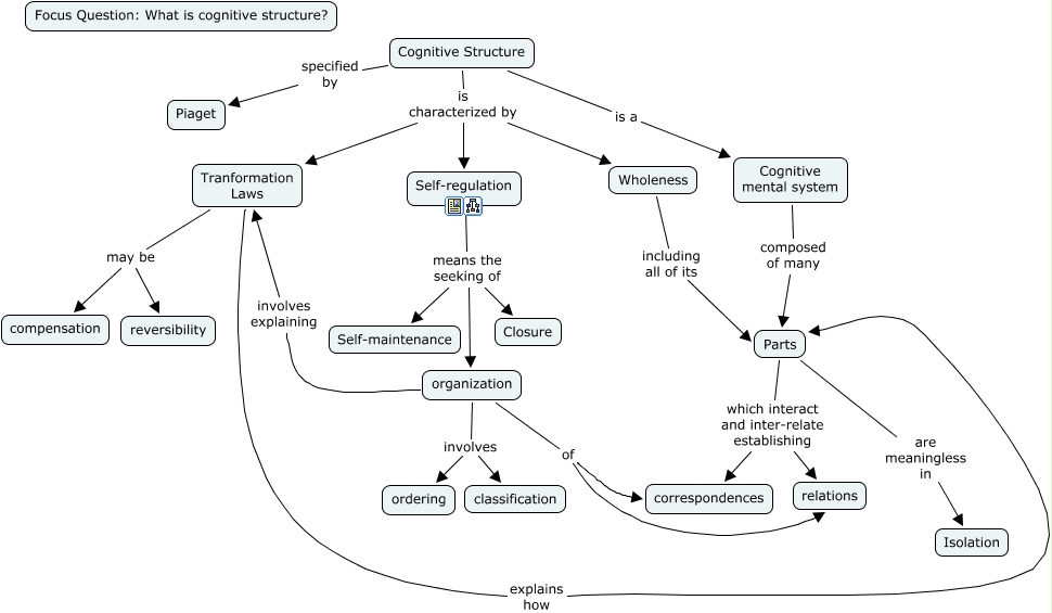 Cognitive Structure - What is cognitive structure?