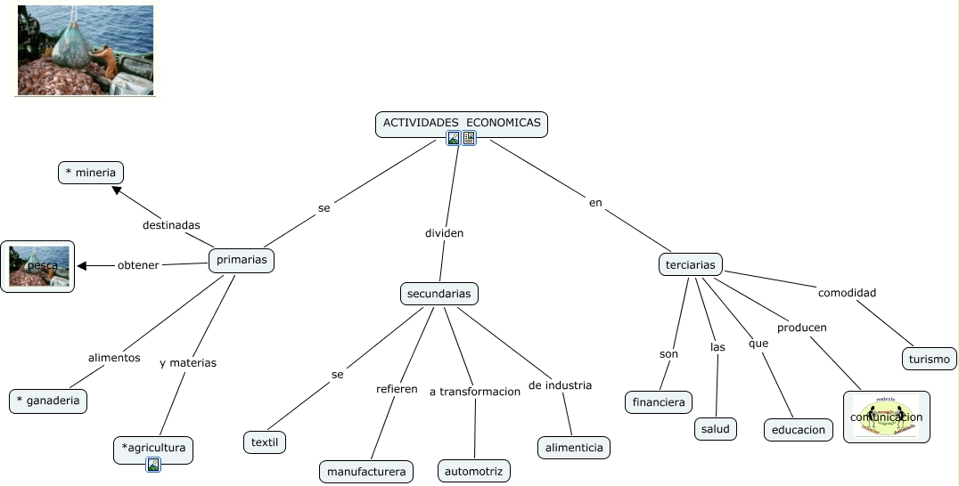 mapa conceptual - ¿Còmo estan divididas las actividades ecònomicas?