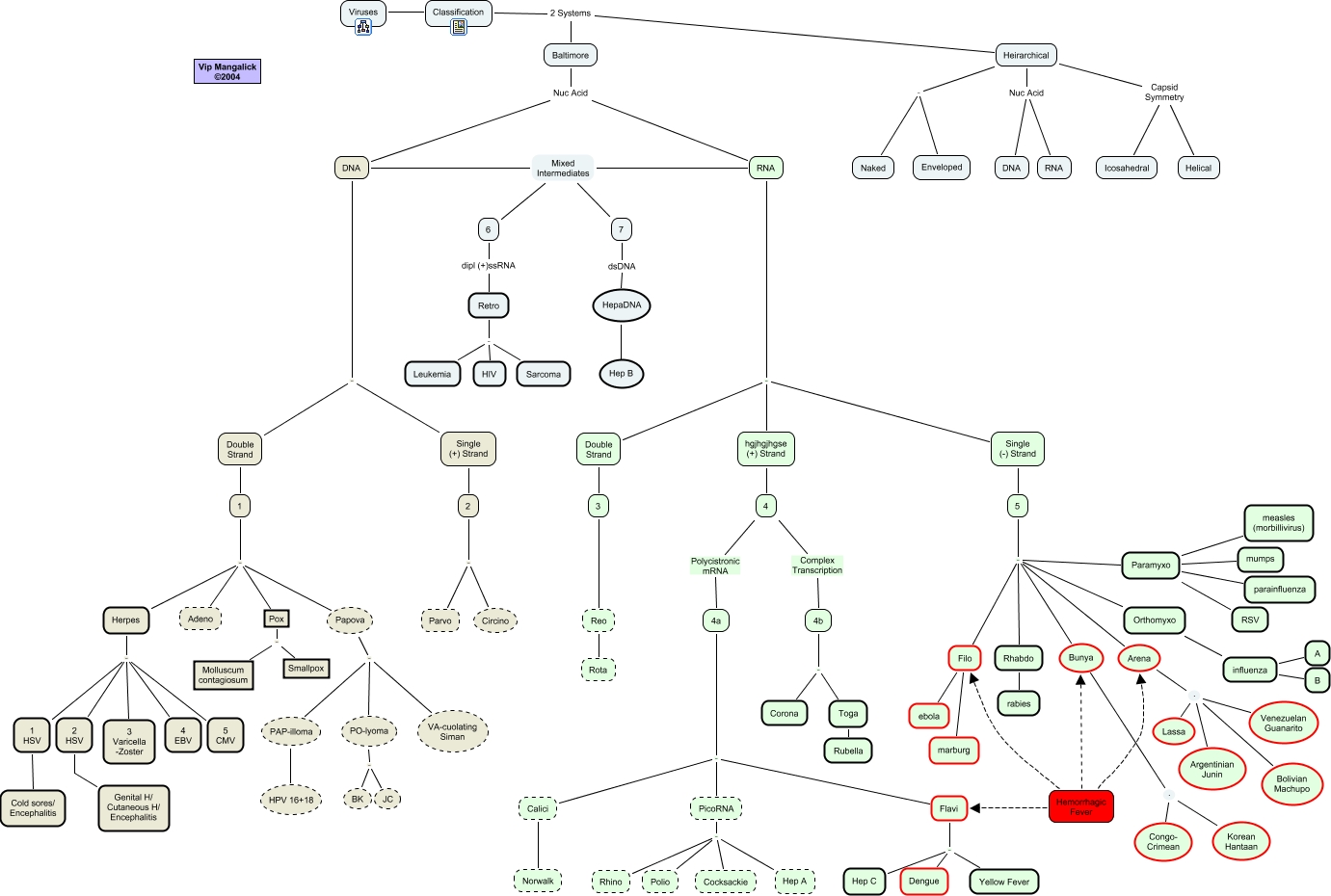 Classification of Viruses 31-3-2004