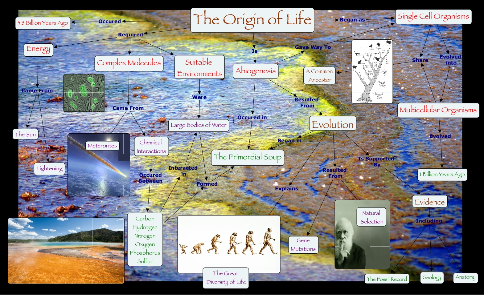 Mckenna CMAP 2 Origin of Life
