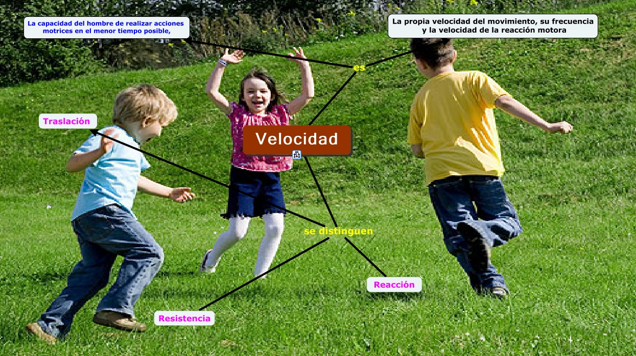 Velocidad