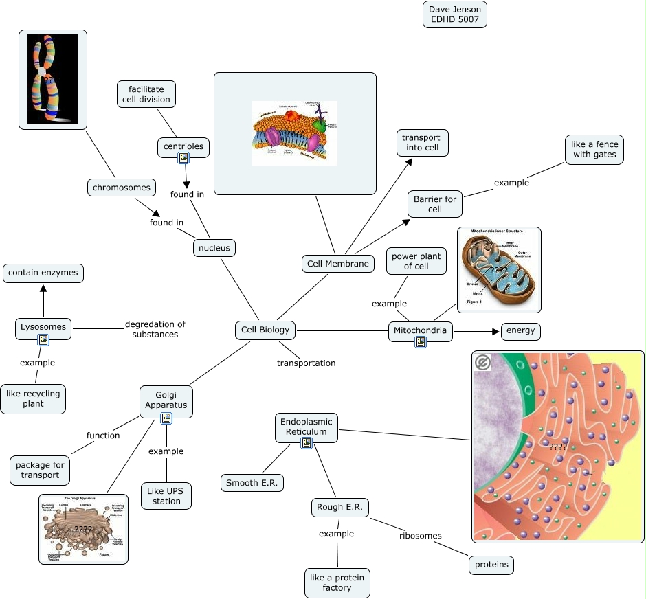 D. Jenson Cell Bio organelles - What are some eukaryotic cell