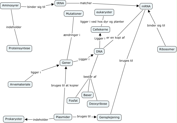 DNA map Jacob - spørgsmål om DNA