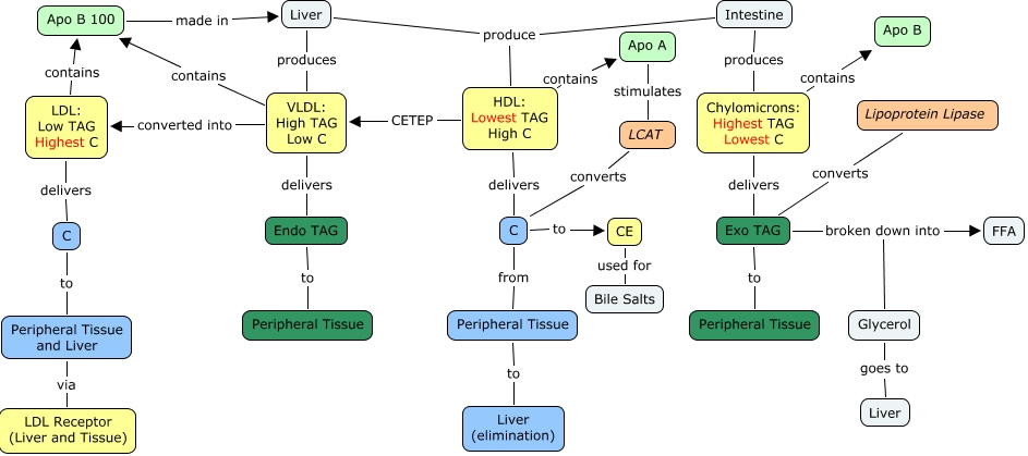 Lipoproteins