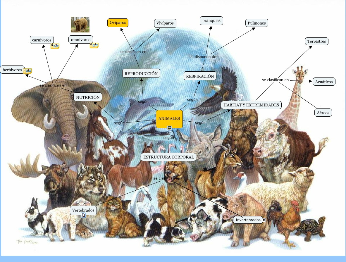 MAPA CONCEPTUAL DE ANIMALES