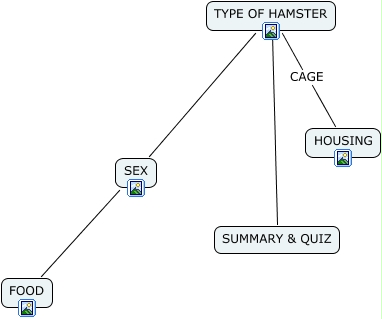 HAMSTER