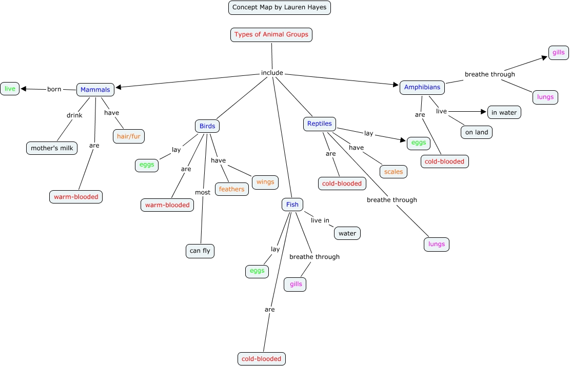Concept Map - Lauren Hayes - What are the five main types of animal groups?