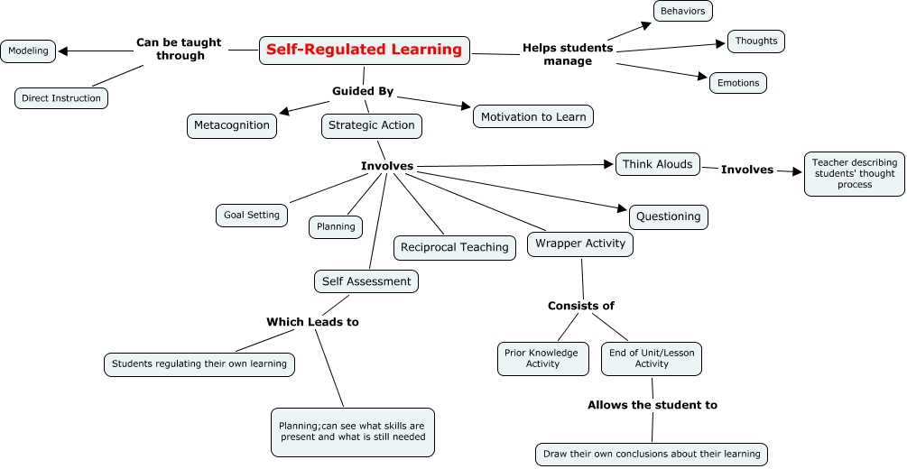 Self-Regulated Learning 2nd Draft