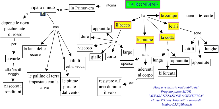 rondine