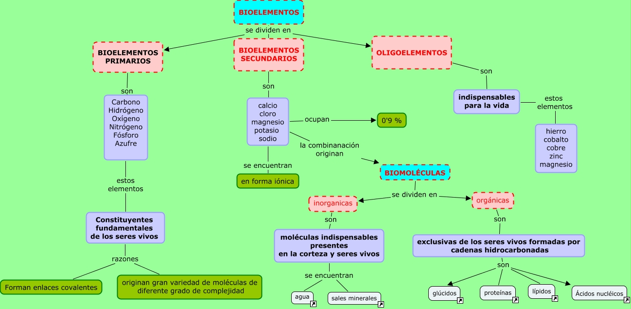 Bioelementos y biomoléculas