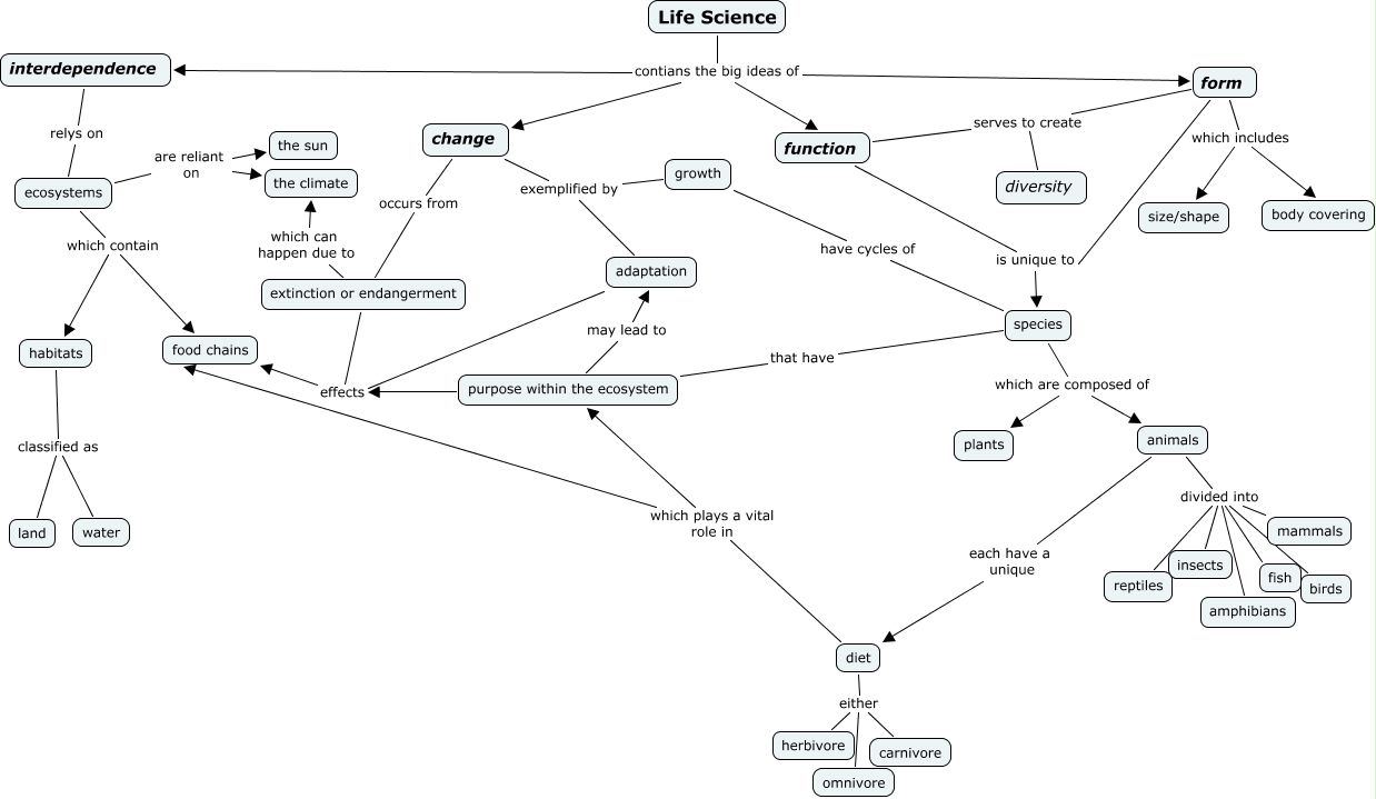 Life Science Big Ideas example