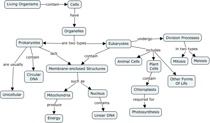 Figure 6-08 - Net - Cells