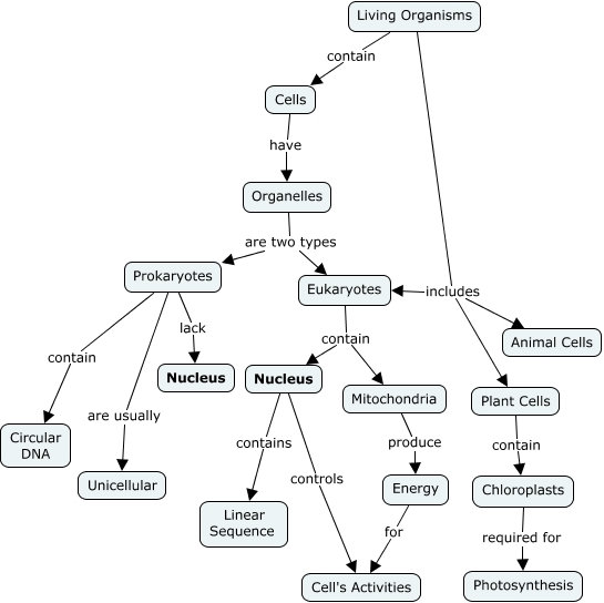 Figure 7-04 - Net - Cells - Repeated Concepts